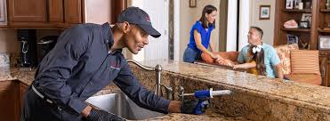 Best Real Estate Pest Inspections  in Borden, IN